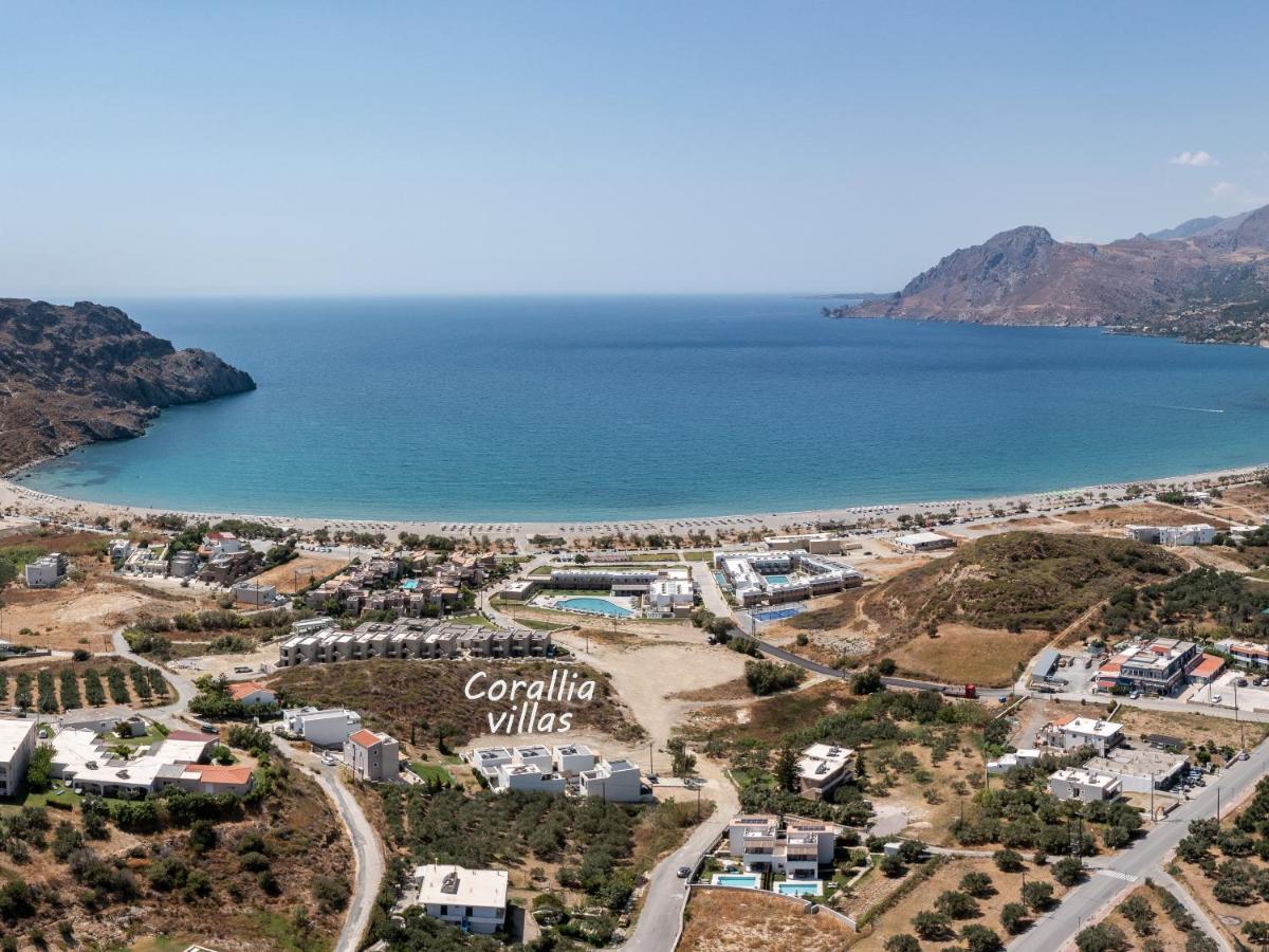 Corallia *